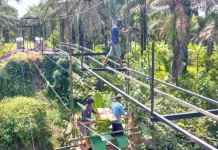 Kodim 0203/Langkat Bangun Jembatan Gantung Penghubung Antarlingkungan di Kelura