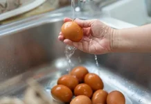Kenapa Telur Tidak Boleh Dicuci sebelum Disimpan?"
