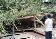 Pohon Tumbang Rusak Rumah Warga di Tanjungbalai