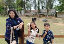 Mengenal Alpaca, Satwa Menggemaskan Asal Pegunungan Andes