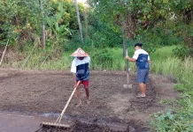 Astra Dukung Pengembangan Garam Tradisional Desa Les