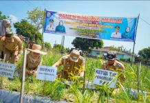 Panen Bawang di Beringin, Si Pandai Siap Jamin Pasar dan Harga Petani Deli Serdang