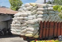 Gabah Langka, Pabrik Beras Terancam Hentikan Produksi