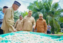 Bupati Batu Bara Tinjau Potensi Perikanan dan UMKM Desa Sentang