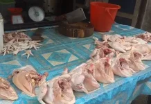Harga Ayam Turun, Omzet Pedagang Meningkat