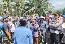 Beralaskan Putusan MA, Masyarakat Garap Kebun PT CSIL di Asahan