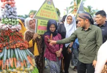 Wabup Labura Dorong Kirab Gunungan Sonomartani Masuk Agenda Wisata Budaya