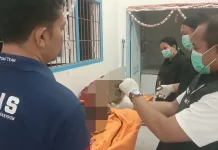 Warga Meranti Digegerkan Penemuan Kerangka Mayat Mr-X di Dekat Aliran Sungai