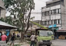 Camat Tanjungbalai Selatan dan DLH Lakukan Penebangan Pohon Antisipasi Banjir