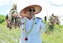 Bupati Simalungun Serahkan Alsintan kepada Petani