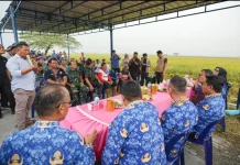 Bupati Deli Serdang Perkuat Dukungan untuk Petani