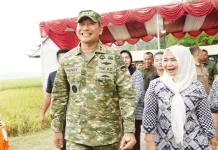 Plt Bupati Langkat dan Pangdam I/BB Panen Raya Perkuat Swasembada Pangan