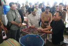 Ekonomi Masyarakat Nias Utara Terdongkrak dari Rumput Laut