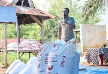 Bupati Tapsel Serahkan Bantuan 10 Ribu Benih Ikan dan Pakan di Pargarutan Dolok