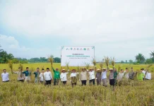 BAZNAS Salurkan Rp373 Juta untuk Petani Batu Bara