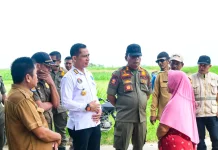 Tim Terpadu P4GN Bongkar Kafe Cantik Pasca Temuan Penyalahgunaan Narkoba
