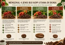 Mengenal Empat Jenis Biji Kopi di Dunia, Mana Favorit Anda?