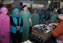 Kunjungi Kampung Tahu, TP PKK Kota Binjai Dorong Penguatan UMKM Lokal