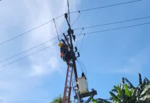 Sambut HUT ke-81 RI, Delapan ULP PLN Bergerak Serentak Perkuat Keandalan Listrik