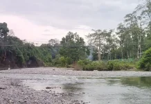 Ekowisata Tangkahan Banyak Diminati Wisatawan