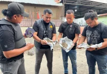 Polrestabes Medan Luluhlantakkan Sarang Narkoba di Tembung