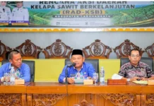 Perkuat Tata Kelola Sawit Berkelanjutan, Pemkab Labuhanbatu Susun RAD-KSB
