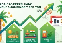 Harga CPO Berpeluang Tembus 5.000 Ringgit per Ton