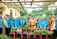 Ketahanan Pangan, TP PKK Binjai Dorong Masyarakat Manfaatkan Pekarangan Rumah