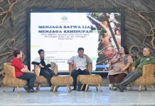 Hari Orangutan Sedunia, YEL Ajak Masyarakat Bergerak Nyata