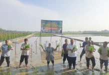 Batu Bara Ikuti Gerakan Tanam Serempak Nasional