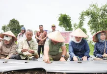 Bupati Berikan Lahan Pinjam Pakai Gratis Dongkrak Pendapatan Petani