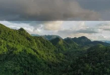 Pendengar RRI: Hutan Sumber Kehidupan yang Harus Dijaga