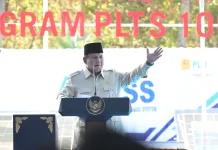 PLTS 100 GWp Diluncurkan, Percepat Swasembada Energi