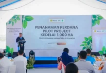 Bupati Sergai Dorong Optimalisasi Lahan Perkuat Ketahanan Pangan