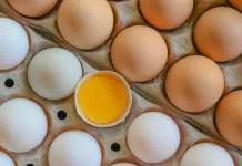 Kuning Telur Ayam Kampung Kaya Nutrisi, Ini 5 Manfaatnya bagi Tubuh