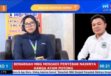 Program MBG Mendorong Kenaikan Harga Ayam Potong