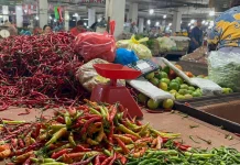 Harga Cabai di Medan Tembus Rp60 Ribu per Kilogram