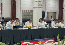Maruli Siahaan Dorong Safe Harbour dan Satu Data dalam RUU Profesi Kurator
