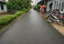Warga Dusun Rejo dan Abadi Tandem Hilir II Apresiasi Perbaikan Jalan