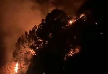 Kebakaran Hutan Kodon-Kodon Karo Berhasil Dipadamkan