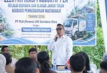 Program Budidaya Jamur Tiram Berbasis Listrik PLN Dorong Kemandirian Ekonomi