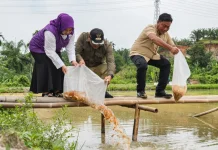 Bupati Tebar 10 Ribu Benih Ikan Mas di STM Hilir