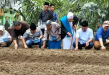Perkuat Ketahanan Pangan, Wabup Dorong Kembangkan Bawang Merah