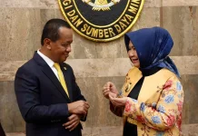 Plt. Bupati Tiorita Laporkan Verifikasi 509 Sumur Minyak Langkat ke Menteri ESDM