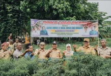 Petani Beringin Deli Serdang Perluas Tanam Cabai