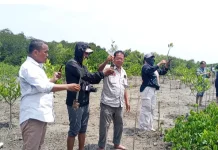Cegah Abrasi di Pesisir, Wartawan Tanam Pohon Bakau
