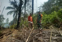Patroli Karhutla di Simalungun dan Pematangsiantar