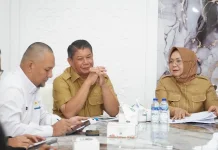 Plt. Bupati Langkat Dorong PLN Percepat Layanan Listrik