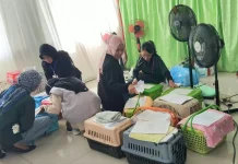 Bulan Bakti Peternakan, Pengobatan Gratis Didominasi Kucing dan Anjing