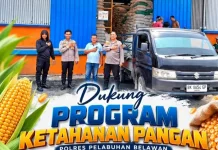 Ketahanan Pangan, Polres Pelabuhan Belawan Salurkan 8 Ton Jagung Pipil ke Bulog